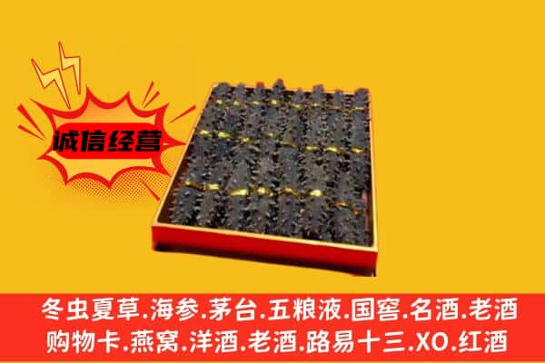 台山市回收海参